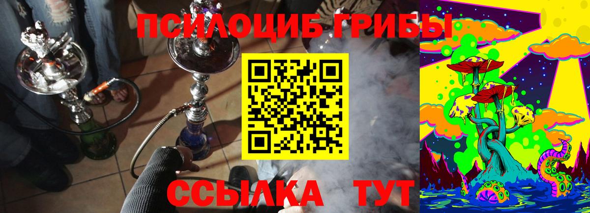 Псилоцибиновые грибы Cubensis  Североуральск  Галлюциногенные грибы GOLDEN TEACHER 